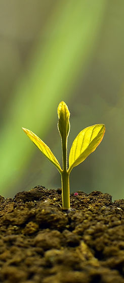 Giving / Ministry Support